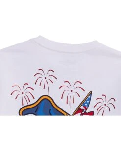 Vineyard Vines Kids GW Whale Short-Sleeve Pocket Tee (Toddler/Little Kids/Big Kids) | Shirts & Tops -Every Day Wear Store 71gFfmuzl0L. AC SR736920